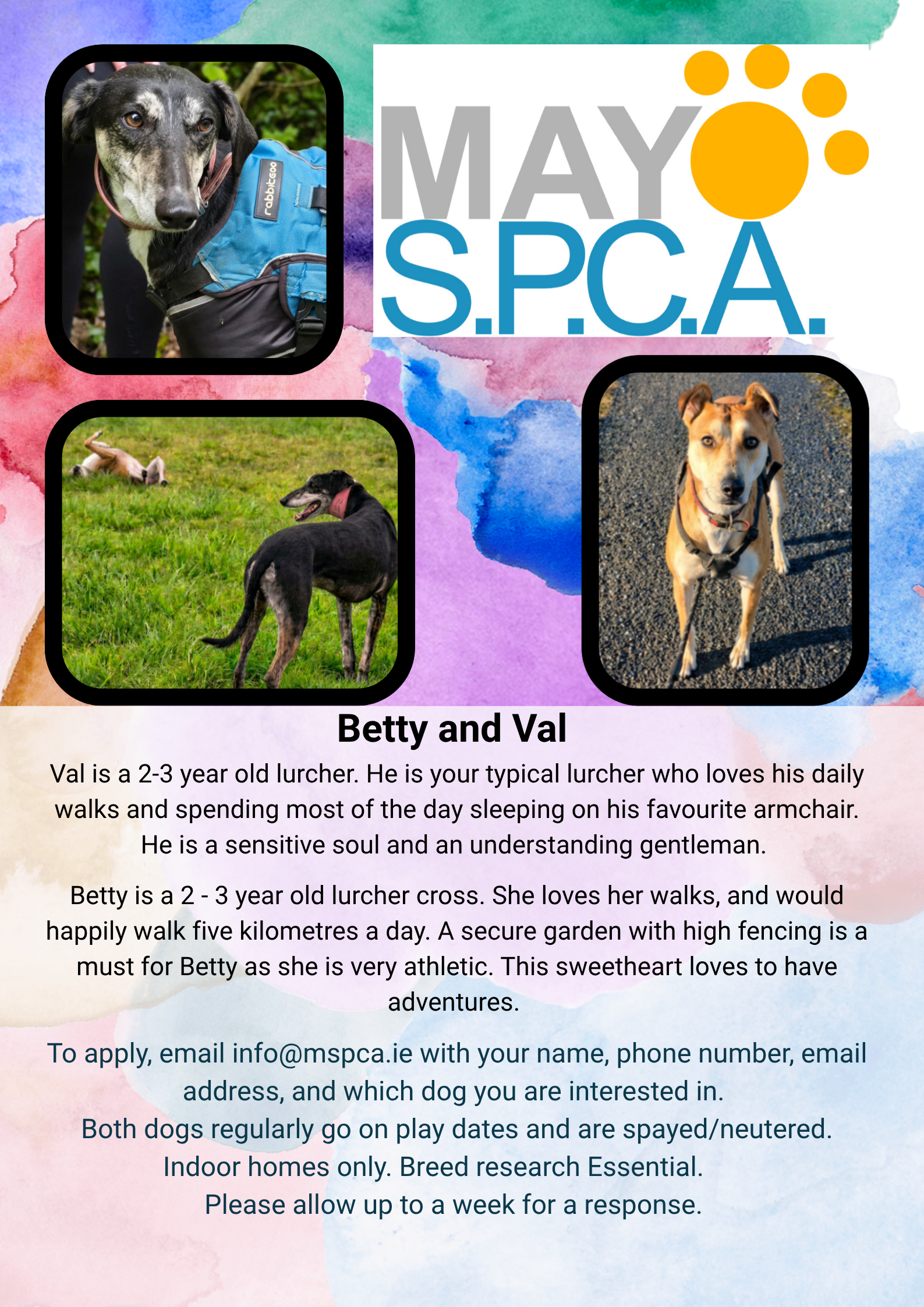 Betty and Val (1)